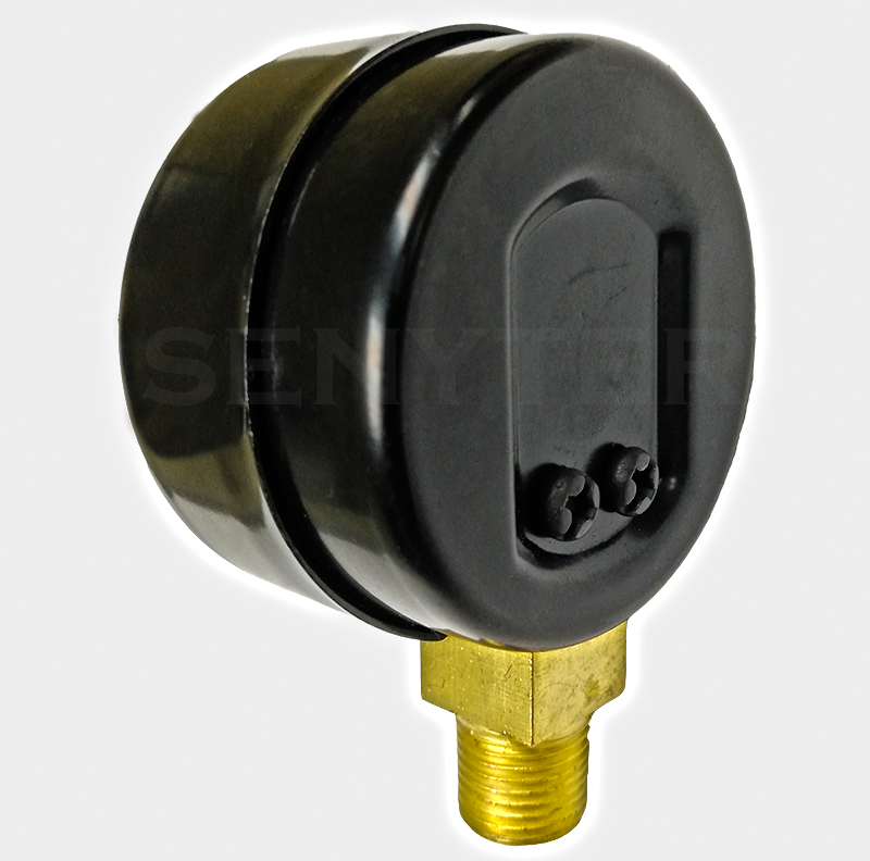 Manómetro TEMPRES Standard Ø (DN) 1,5" Conexión 1/8" NPT M, Inferior en Bronce - Imagen 2