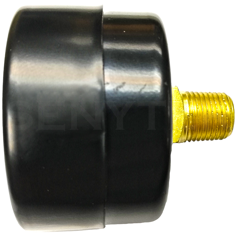 Manómetro TEMPRES Standard Ø (DN) 1,5" Conexión 1/8" NPT M, Posterior en Bronce - Imagen 2