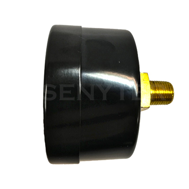 Manómetro TEMPRES Standard Ø (DN) 2.0" Conexión 1/4"- 1/8" NPT M, Posterior en Bronce - Imagen 2