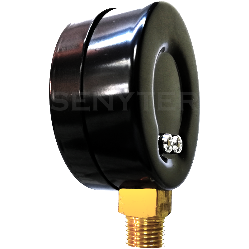 Manómetro TEMPRES Standard Ø (DN) 2,5" Conexión 1/4" NPT M, Inferior en Bronce - Imagen 3