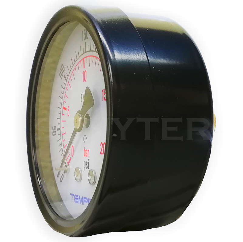 Manómetro TEMPRES Standard Ø (DN) 2,5" Conexión 1/4" NPT M, Posterior en Bronce - Imagen 2