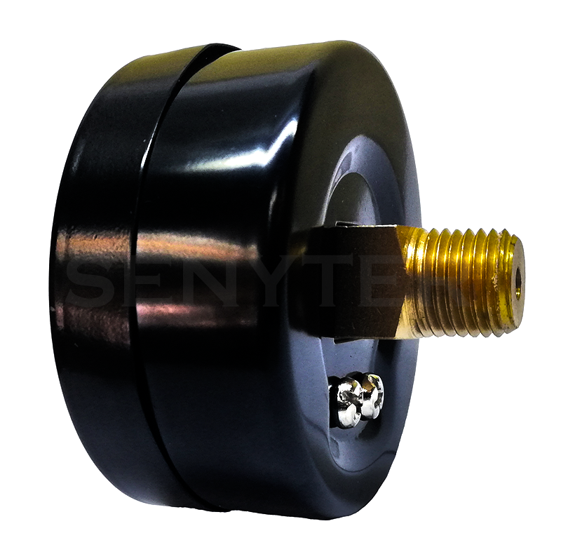 Manómetro TEMPRES Standard Ø (DN) 2,5" Conexión 1/4" NPT M, Posterior en Bronce - Imagen 3